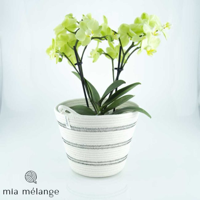 Decorative Cotton Flower Pot Cover – Polka Dot collection